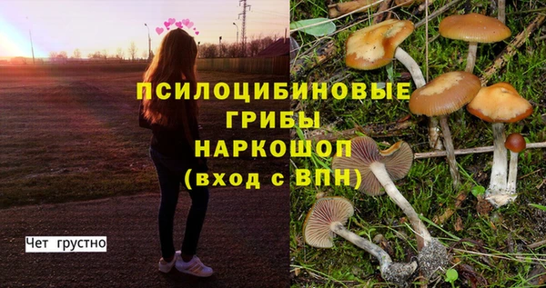 spice Нягань