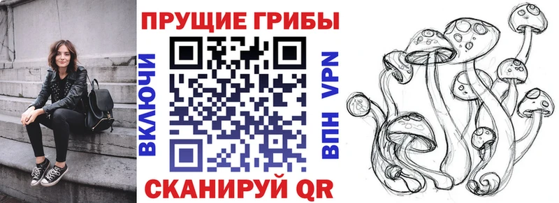 Псилоцибиновые грибы GOLDEN TEACHER  Красавино 